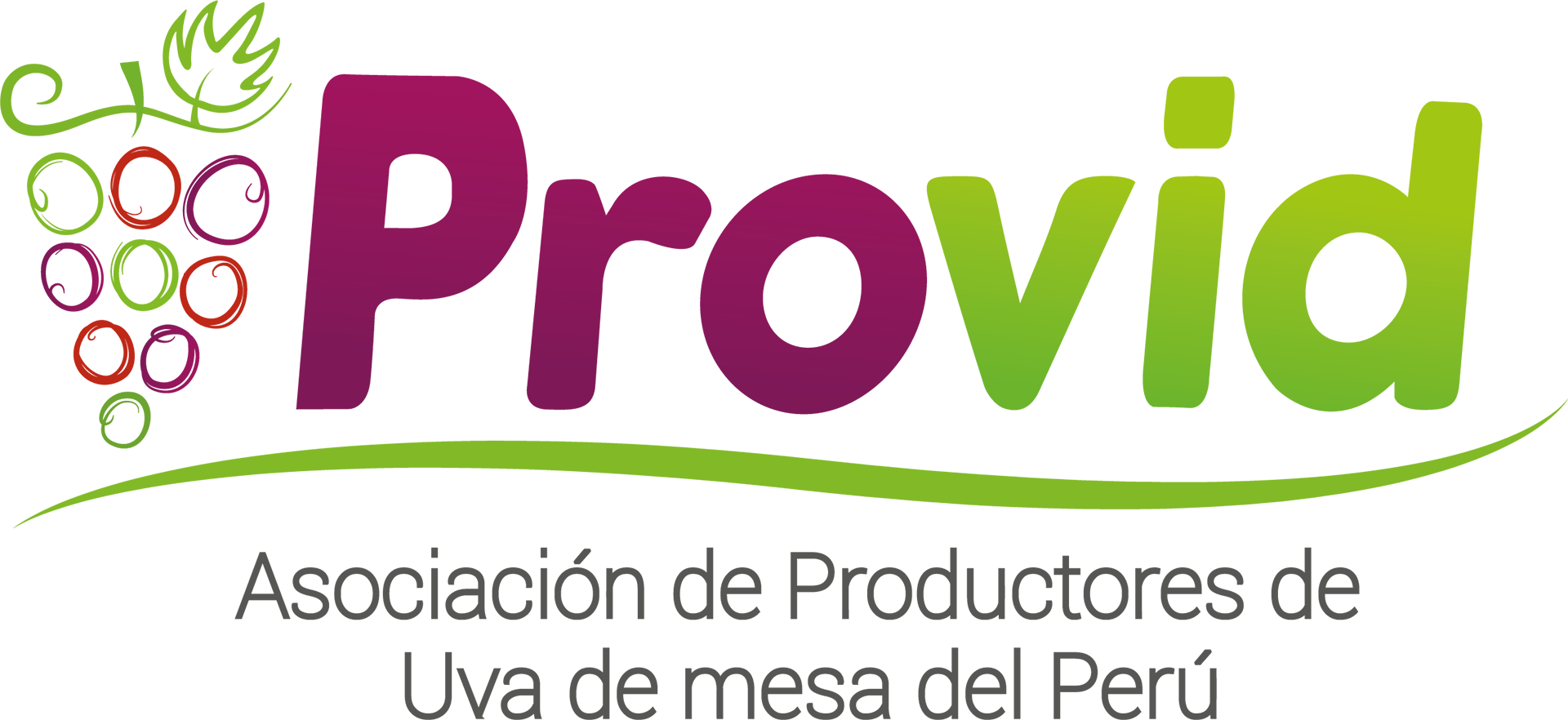 Logo Provid 2023