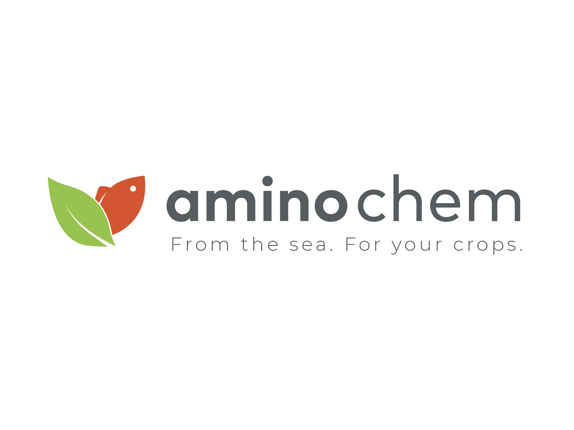 Logo Aminochem