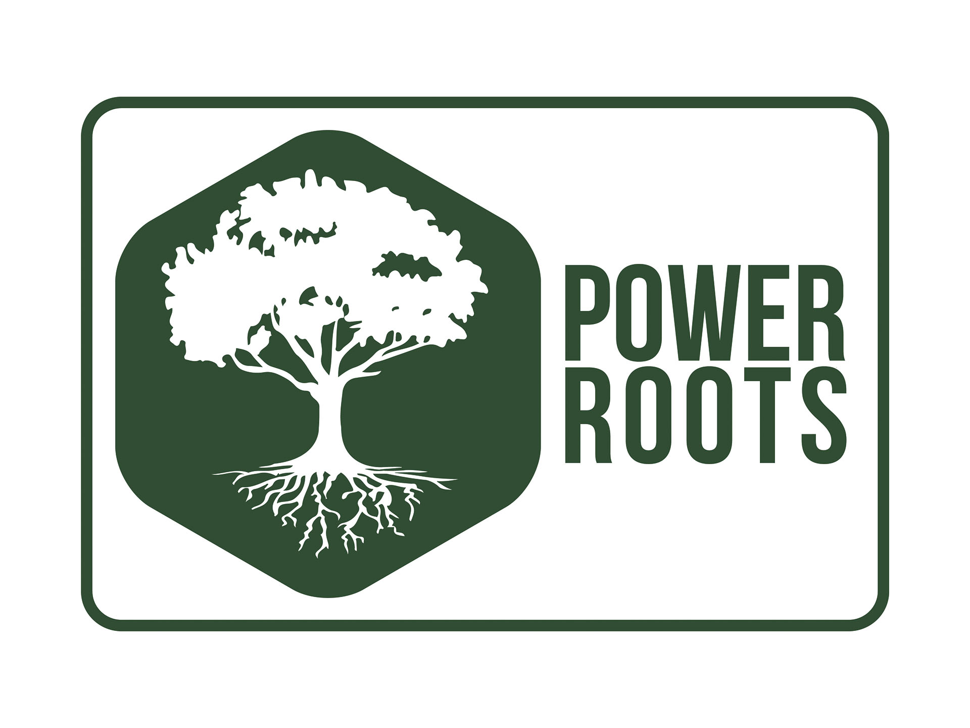 Logo Power Roots